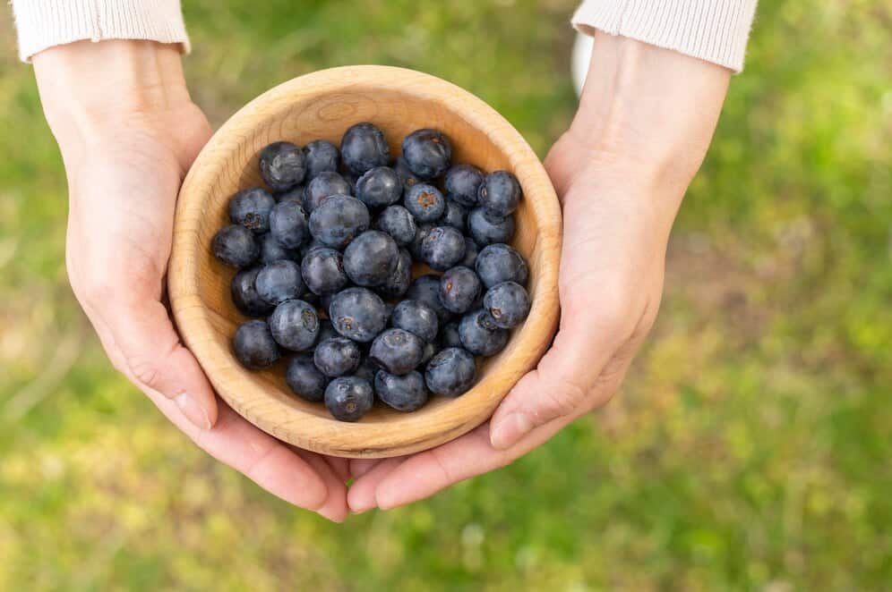 świeże jagody w drewnianym naczyniu, rolniczy plon z ogrodu, zdrowa żywność, miskę z jagodami do domu i ogrodu, ekologiczne produkty naturalne dla zdrowia, świeże owoce na sezon letni, jagody jako naturalny smakołyk, ogrodnictwo i zdrowe odżywianie, relaks i wypoczynek w ogrodzie z jagodami, dladomuiogrodu.com.pl - Dla domu i ogrodu.